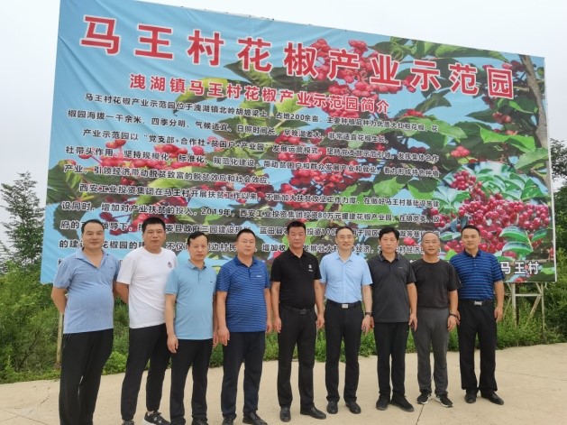 201663665352186452.jpeg 2.jpg