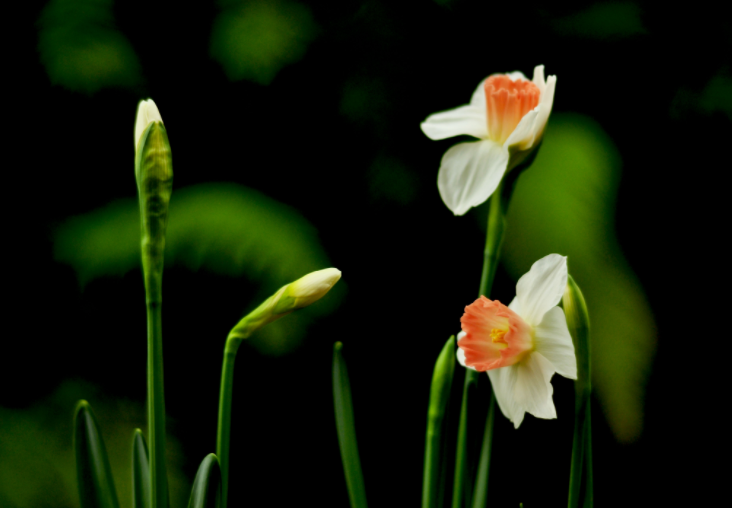 大家都做生态文明建设的实践者、推动者（生态论苑）