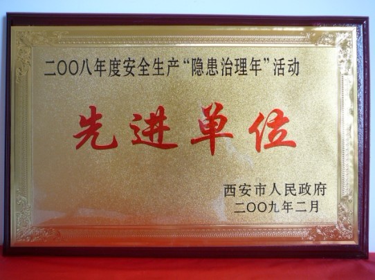 2009年2月，被西安市人民政府评为2008年度安全生产“隐患治理年”活动先进单位
