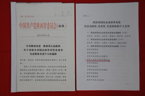 2009年2月，被陕西省委、省政府授予陕西省国有企业改革攻坚先进集体