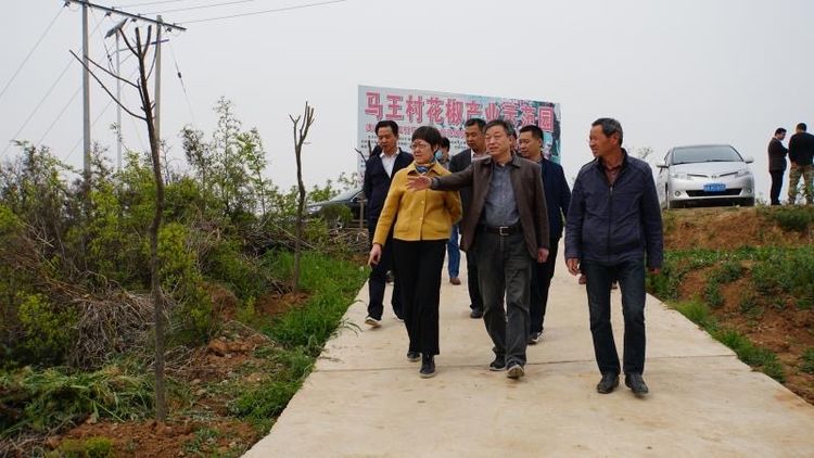 市国资委党委副书记任晓今一行巡查指导集团帮扶的蓝田县马王村“三排查 三清零”工作